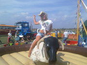 Rodeo bull hire for parties and events