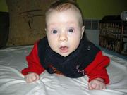 cute baby boy for adoption