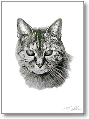 Artist offering Pencil Portraits from Photographs supplied by you