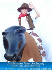 Bouncy Castle Hire/Bucking Bronco Hire/Inflastable Slide