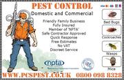 Pest Control Services London