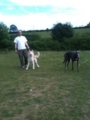 Premier Dog Services - Dog Walking,  Dog Sitting