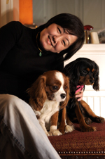 Accountancy Jobs in London