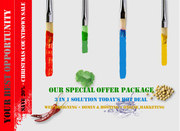 SAVE 20% - Create Professional Websites Christmas Countdown Sale!