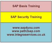  SAP BASIS Training in London | SAP Security Training | SAP Basis 