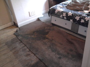 COMPTON CARPETS & FLOORING...COVERING THE COUNTRY.