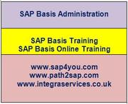 SAP BASIS Training,  London | SAP BASIS Training in London | SAP BASIS 