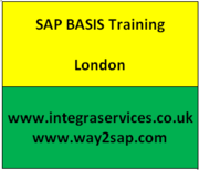 SAP BASIS Training | SAP BASIS Training London | SAP BASIS Training UK