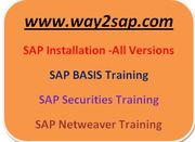 SAP BASIS Training | SAP Securities Training | SAP Netweaver