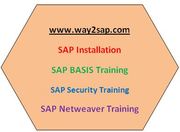 Best SAP Training | SAP BASIS | SAP SECURITIES | SAP NETWEAVER