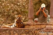Rajasthan tours, Rajasthan tour operator, Tourist Places in Rajasthan