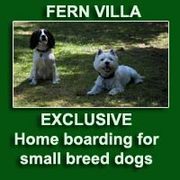 Fern Villa: EXCLUSIVE home boarding for Small dogs