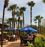 suites orlando suites orlando