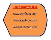 sap installation,  sap ides installation in London,  sap installation 