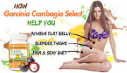 Dr OZ Garcinia Cambogia select 