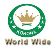 Web development and web designing company in Moga