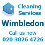 Professional Domestic Cleaning Services in Wimbedon
