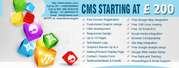CMS Websites Starts From 200US Dollars Only