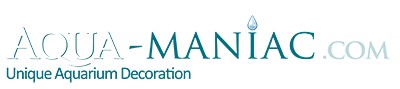 Frequently Asked Questions About Aquarium Decoration at Aqua-Maniac