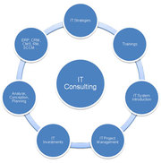 Choose the Right Business Solutions Consultants