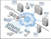 IT Virtualization and Cloud Service