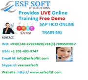 SAP FICO ONLINE TRAININIG AT ESF SOFT