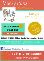 MUCKY PUPZ DOG GROOMING DONCASTER