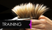 Wella Hair Colouring Kirkby-In-Ashfield