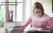 Assignment Help Uk