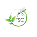 TSG Landscapes – Offering Finest Landscaping Services In Cambridge