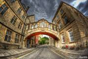 oxford walking tours service -Premium scholars walk