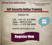 SAP Security Online Training London