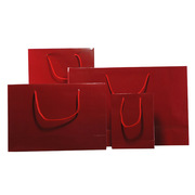 Gift Paper Bags with Handles