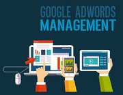 Best Google Adwords Management Company