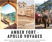 Amazing One Day Amber Fort Sightseeing Tour | Amber Fort Tour