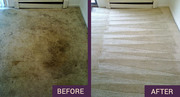 Steam carpet cleaning Sutton