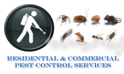 BED BUG ALERT ! Pest Extermination from North Essex pest control