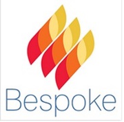 Bespoke Boilers