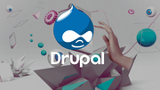 Drupal Development Company