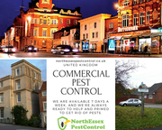 Contact 07487351351 |  Commercial Pest Control Essex + North Essex Pest Control