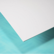 Ceiling Cladding For Use Where Absolute Hygiene Is A Priority