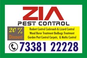 Zia Pest Control Service Termite,   Cockroach Bed Bugs Treatment 