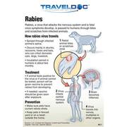 Rabies Vaccine Derby