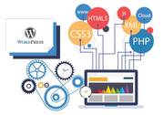 Wordpress Website Development Company | Best SEO Company UK