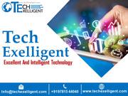 Tech Exelligent Worlds renowned Digital Marketing Company