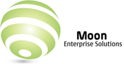 Moon Enterprise Solutions Limited- Management Consultant 