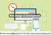 Professional Website Mobile & Web App Design eCommerce CMS Software