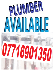 Plumber expert in repairs