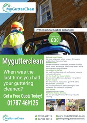 Professional Gutter Cleaning Services