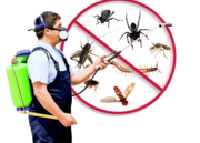 Pest control Greenford